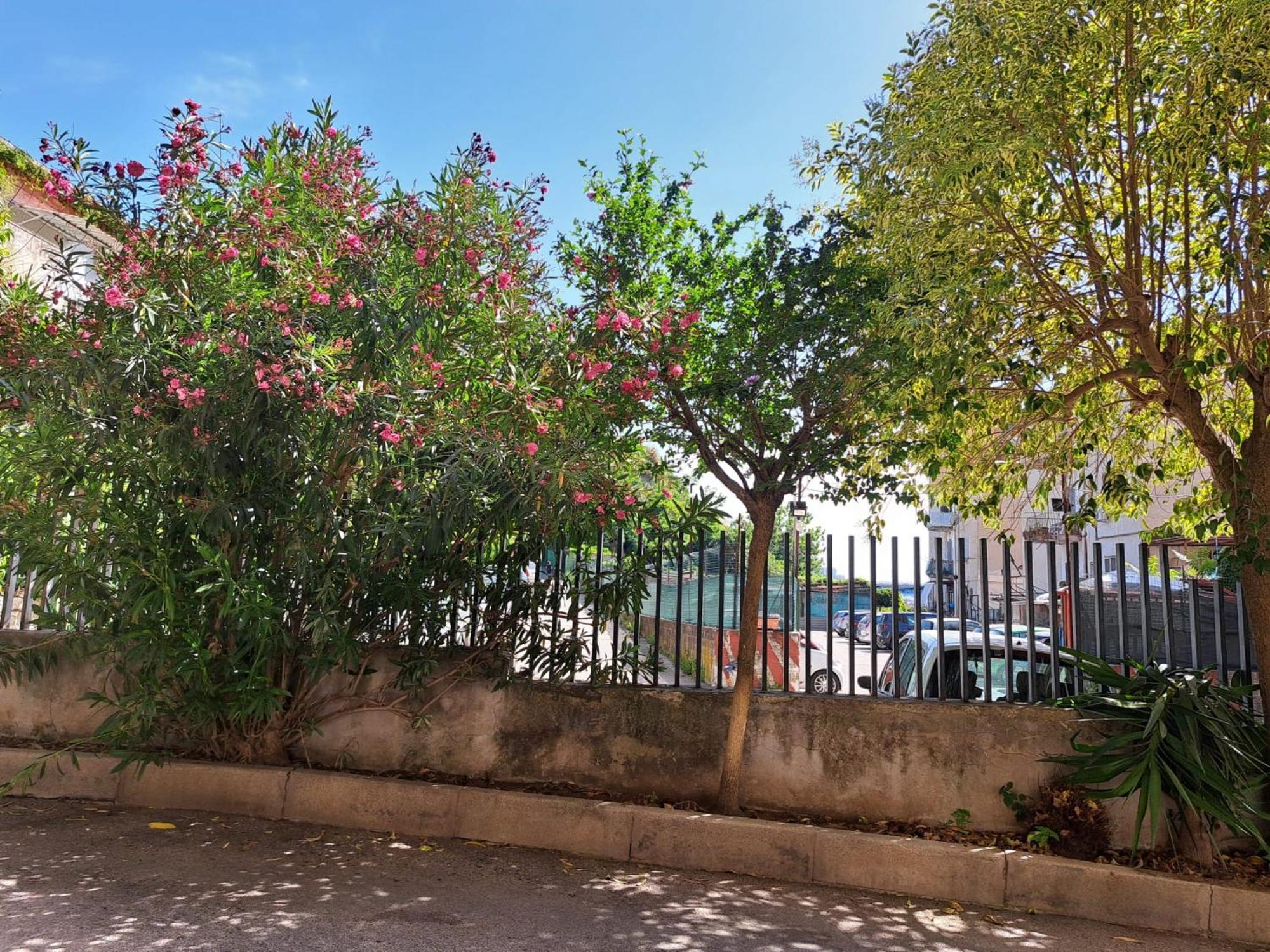 B&B Le Origini Naples Exterior photo